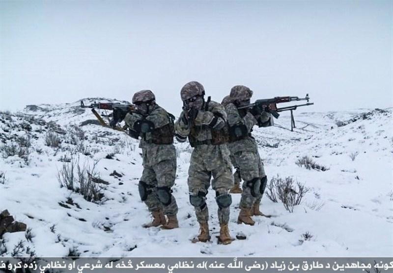 طالبان برای عملیات بهاری آماده می شود؟